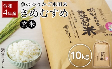 令和5年産（新米）滋賀県認証！ 魚のゆりかご水田米 「きぬむすめ」玄米 10kg