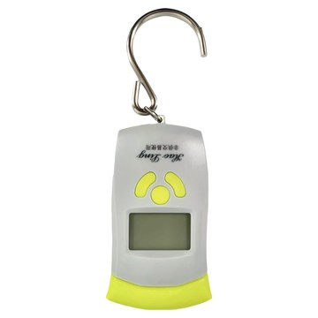 豪菱 油壓式電子吊秤  HL-6989  1個