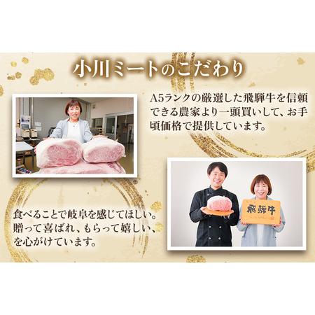 ふるさと納税 [3ヶ月定期便][A5等級]飛騨牛サーロインステーキ用 600g(300g×2枚) [0341] 岐阜県本巣市