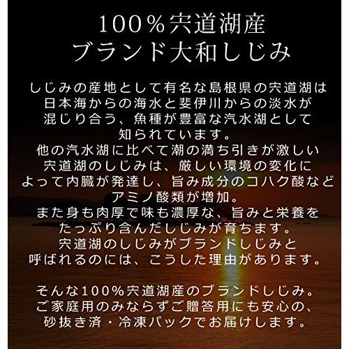 風味絶佳.山陰 お歳暮 ギフト 宍道湖産 冷凍しじみ2kg（中粒） 砂抜き済