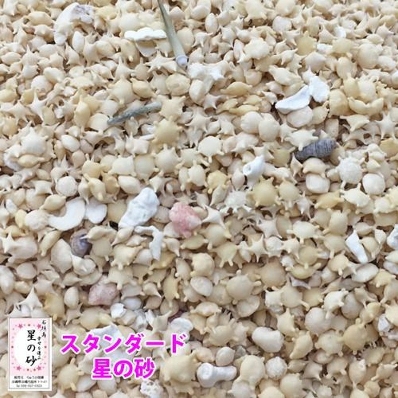 送料無料】沖縄 石垣島 星の砂(星砂) 1kg 業務用 大量販売 | LINEブランドカタログ