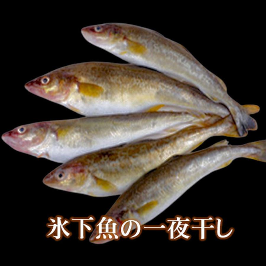 こまい一夜干 400g 氷下魚 稚内産 袋詰