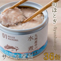 缶詰工場直送　伝統のさば缶「旬ほとぎ」水煮36缶