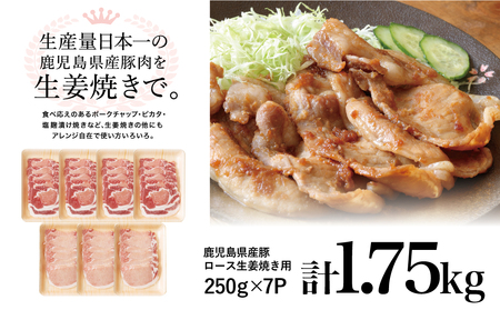 畜産王国鹿児島の 豚ロース 生姜焼き用 1.75kg ★年内配送★ 肉 お肉 炒め物 生姜焼き 豚肉 かごしま 鹿児島県産 スライス グルメ 冷凍 国産 カミチク 南さつま市