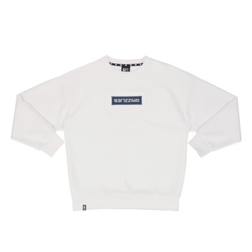 NBA 翻轉BOX刺繡 隊伍印花 大學TEE 長袖上衣 灰熊隊