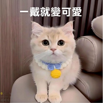 貓咪項圈 手作編織項圈 可調節不勒脖 柔軟親膚 多款顏色 貓狗適用 寵物圍脖