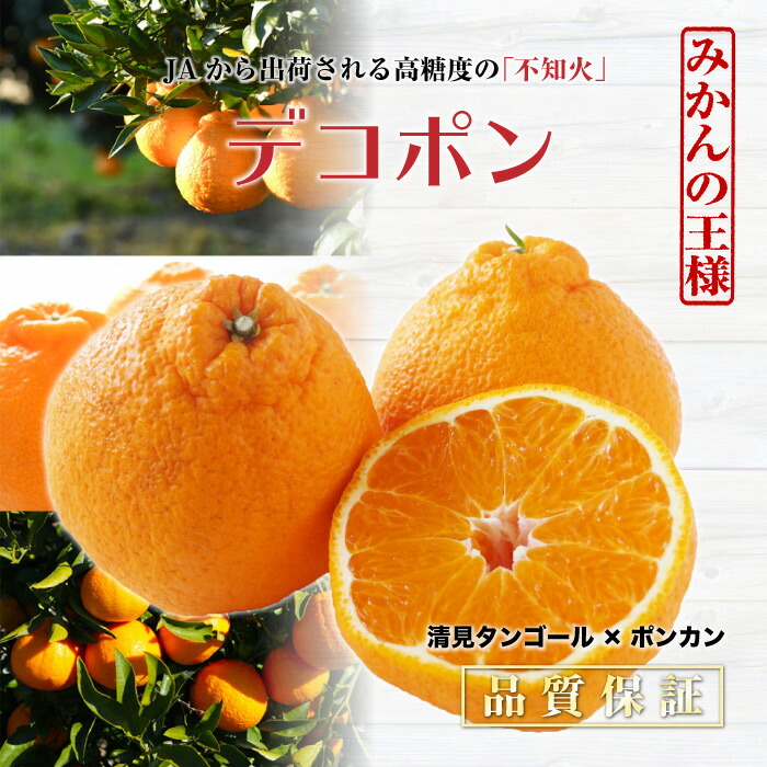 [予約 2023年12月31日必着] デコポン 不知火 5kg 愛媛県産 佐賀県産 熊本県産 ４Ｌサイズ  柑橘 高糖度 みかんの王様 冬ギフト お歳暮 御歳暮 大晦日必着指定 冬ギフト お歳暮 御歳暮