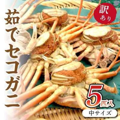 ふるさと納税 京丹後市 驚きの旨さ!茹でセコガニ  中サイズ5匹入(冷凍)