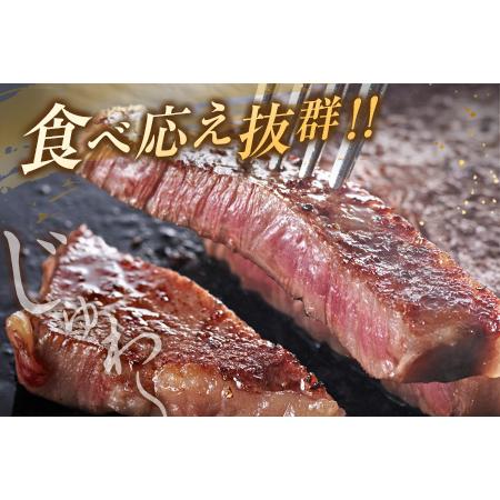 ふるさと納税 ≪数量限定≫黒毛和牛ロースステーキ(計800g)　肉　牛　牛肉　国産 DA14-23 宮崎県日南市