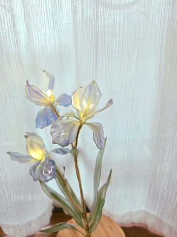 鳶尾花・沾浸藝術花燈【閒逛花間系列】。小夜燈。生日禮物
