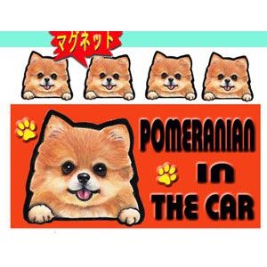 マグネット 犬ステッカー ポメラニアン7 グッズ 犬[名前・ネーム入れOK