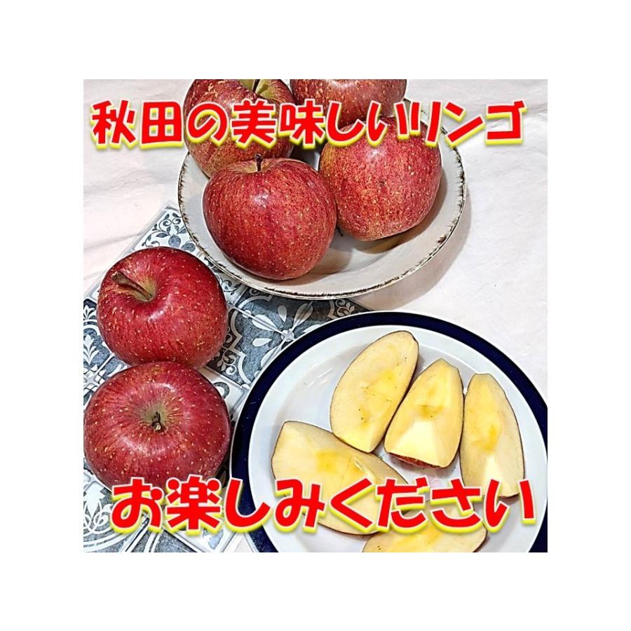 リンゴ フジ 5kg 秋田県産 贈り物 贈答 お歳暮　 佐藤さん家のおいしいリンゴ 5kg 18個入り 送料無料