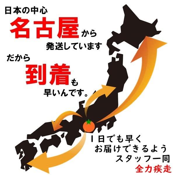 生くるみ 人気サイズ 500g 無添加 無塩 LHP 生だから栄養たっぷり。 そのまま食べることができます。ネコポス便発送