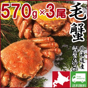 毛ガニ 毛蟹 カニ 蟹 姿  特大 北海道産 ボイル 毛がに 毛蟹 570g×3尾 かに けがに ギフト プレゼント 送料無料 お買い得 かにみそ