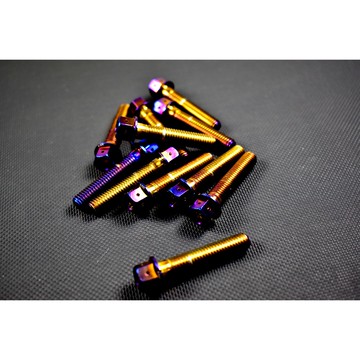 皮斯摩特 ZOO |  鍍鈦螺絲 內外六角 白鐵 鍍鈦 螺絲 M8X40 單支130