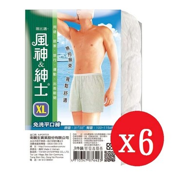Beibis蓓比適 風神紳士男性平口免洗褲3入XL*6包_廠商直送