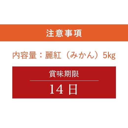 ふるさと納税 佐賀県 唐津市 『予約受付』麗紅(れいこう）ハウス栽培 唐津産 5kg