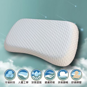 VICTORIA 四季涼感人體工學記憶枕(1顆)