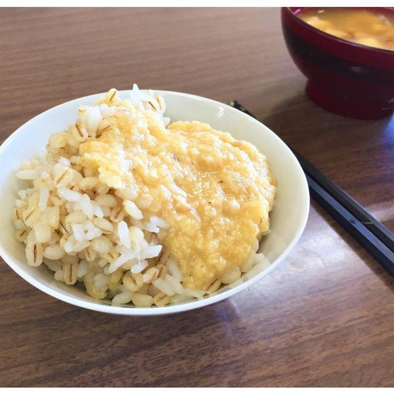 越後製菓 もち麦ごはん 240g ×12個