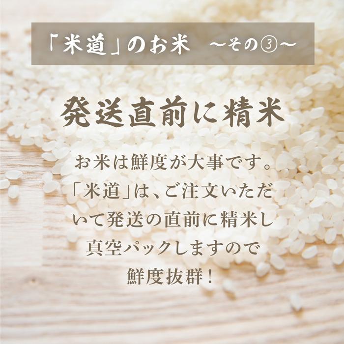  真空パック 白米 30kg 無洗米 はえぬき 小分けパック 5kg×6 令和四年産 山形県産 ごはん 検査米 単一原料米 玄米 保存食