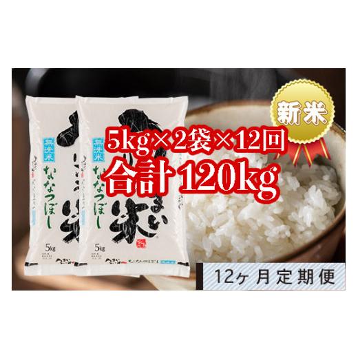 ふるさと納税 北海道 雨竜町 うりゅう米「ななつぼし（無洗米）」5kg×2袋 定期便！毎月1回・計12回お届け