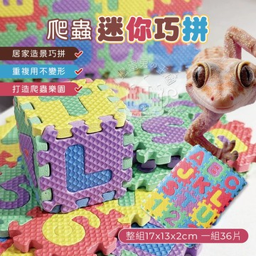 【小搗蛋鬼の王國】爬蟲迷你巧拼 爬蟲造景 爬寵擺飾 爬寵小物 爬蟲用品 守宮 蜥蜴 鬆獅蜥 肥尾守宮 巧拼 好玩 有趣