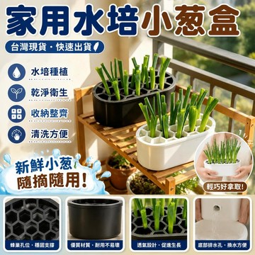 🌈🌈水培盆栽容器 水培蔬菜種植盒 免土蔥花栽培盆 蔥/蒜/香菜水培盆 水培種植箱 水培育苗箱 廚房陽臺窗臺水培盒