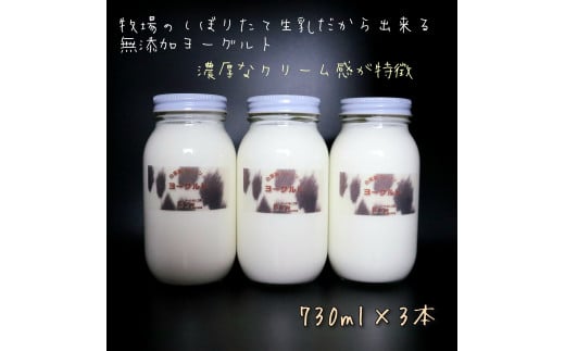 よーぐると工房Bawのヨーグルト　730ml×3本セット(加糖)