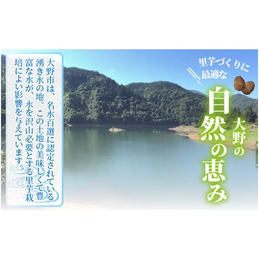 ふるさと納税 福井県 大野市 日本百名山 荒島岳の麓で育てた 蕨生（わらびょう）里芋 3kg[A-001010]