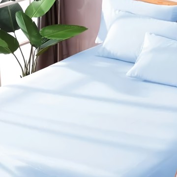 LoveCity 寢城之戀 台灣製 專業級吸濕排汗網眼 100%防水防蹣 床包式保潔墊  單人  淺藍