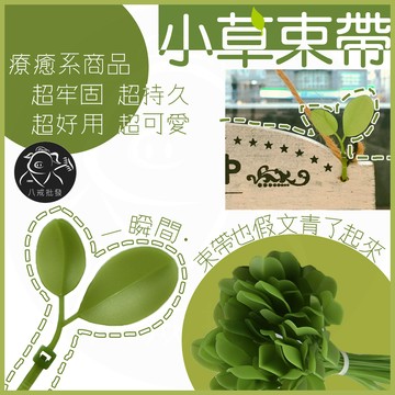 ※八戒批發※「保證現貨」小草束帶 束線帶 葉子束帶 理線帶 綁線帶 束帶 紮線帶 捆線帶 尼龍束帶