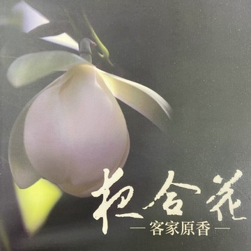 夜合花：客家原香【二手書_良好】TAAZE讀冊生活