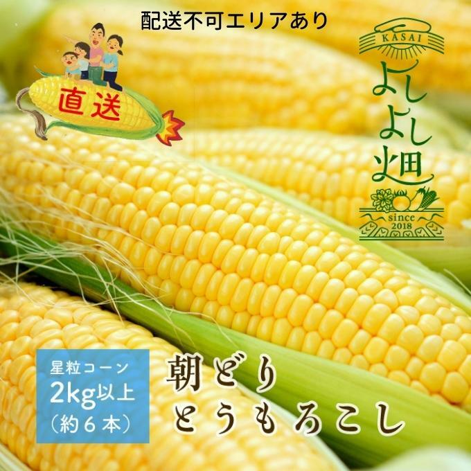 朝どり とうもろこし 5本（2kg前後）よしよし畑 農家直送 朝どれ 新鮮 兵庫県産 キャンプ BBQ アウトドア 小分け