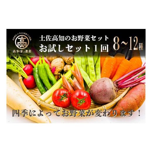 ふるさと納税 高知県 高知市 高知の新鮮野菜セット