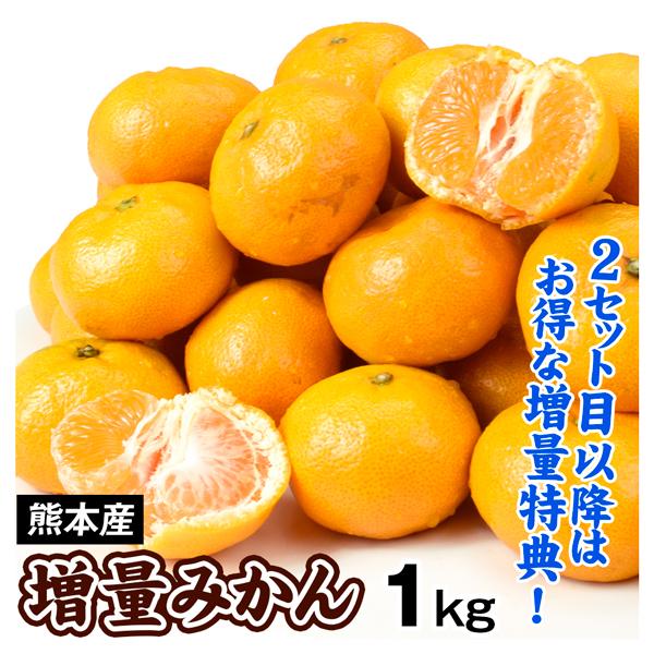 みかん 熊本みかん 1kg ご家庭用 熊本産 送料無料 2セット目から増量あり S〜2L混合 増量特典 ポイント消化 フルーツ 果物 国華園