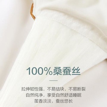 蠶絲被100%桑蠶絲冬被春秋被子母被學生被子夏涼被全棉加厚被芯