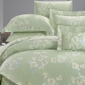 莉賽詩 100支頂級尊爵天絲銀離子床包兩用被  綠色  莉賽詩 綠色  加大  床包 + 鋪棉兩用被套 + 薄枕套2件