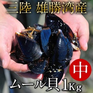 ムール貝 活ムール貝 [中 1kg] 殻付き 生ムール貝 三陸 朝どり ランキング