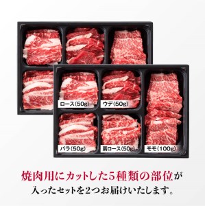 ※令和6年2月より順次発送※黒毛和牛5種盛り 焼肉セット（数量限定）600g 