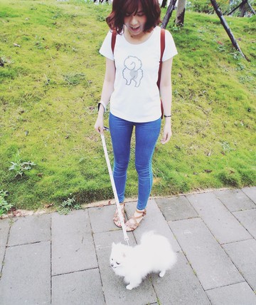 NINKYPUP毛孩屁屁系列 博美 狐狸犬反光T-shirt