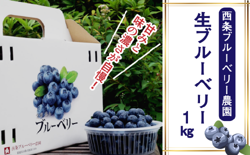  生ブルーベリー １㎏　西条ブルーベリー農園 ブルーベリー 2024年7～8月発送