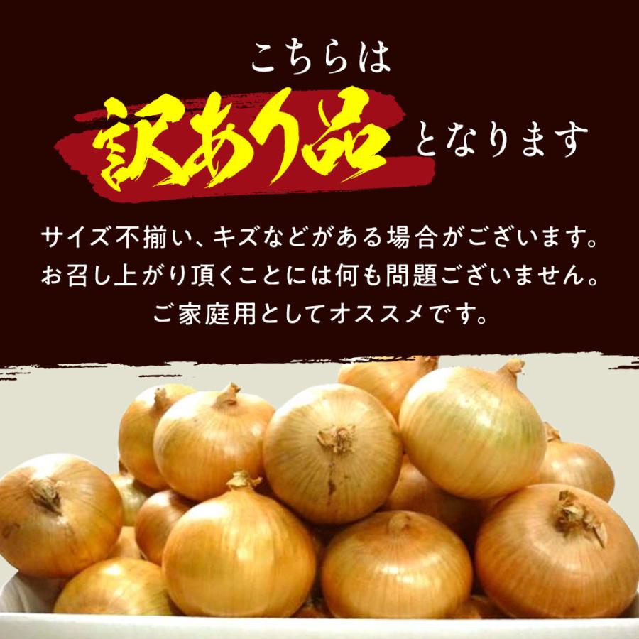 玉ねぎ 3kg 訳あり 淡路島 増量あり Sサイズ〜2Lサイズお任せ 今井ファ−ム たまねぎ タマネギ 玉葱 ＃訳ありたまねぎ3kg＃