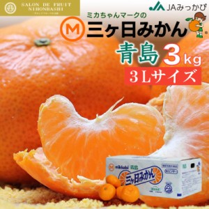 [予約 2023年 12月31日必着] 三ケ日みかん 青島 約3kg 3Lサイズ 静岡県産 JAみっかび 産地箱 冬ギフト お歳暮 御歳暮 大晦日必着指定