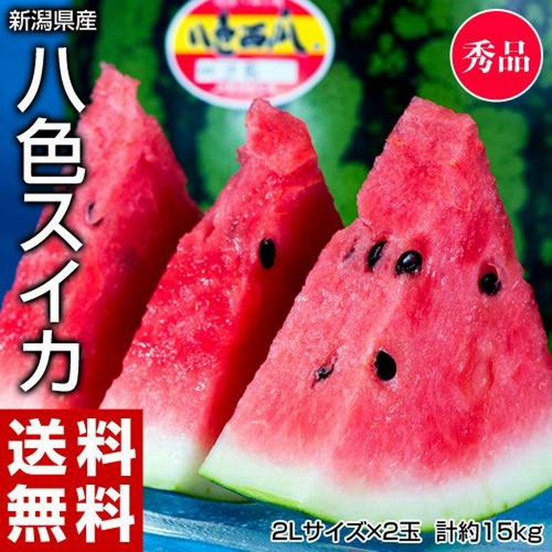 スイカ 西瓜 新潟県産「八色スイカ」大玉2玉 計約14kg 秀品 ※常温