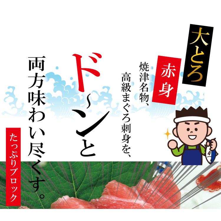 天然南まぐろ ブロック 500g 鮪 マグロ 冷凍 送料無料 ギフト お取り寄せグルメ 食品 産直