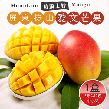 【預購】屏東枋山愛文芒果禮盒5斤9-12顆x1盒_中小果