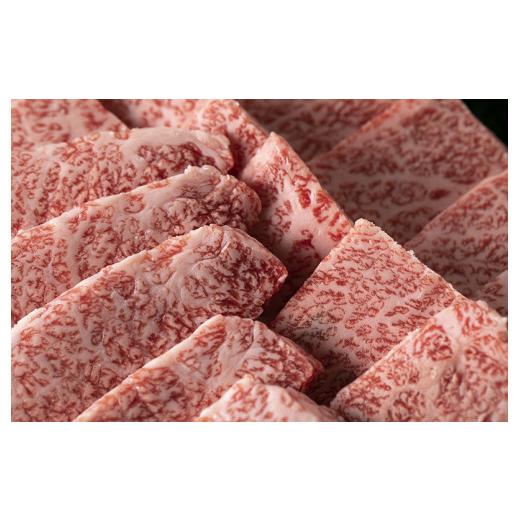 ふるさと納税 岐阜県 大垣市 A5飛騨牛　焼肉用　赤身モモ肉又は肩肉　300g