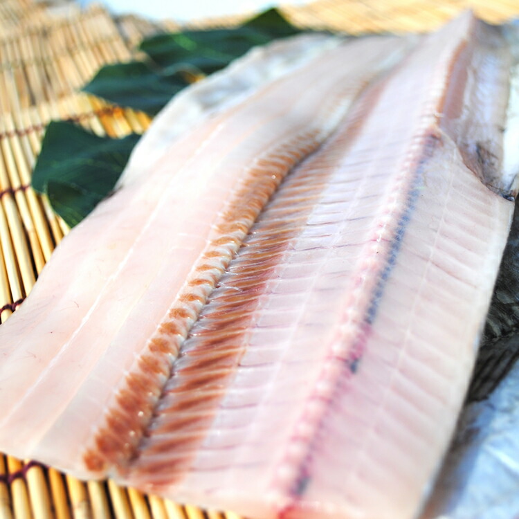 太刀魚(タチウオ)干物　1枚～この商品から当店の変わり干物シリーズは始まりました!ホントに美味いです♪