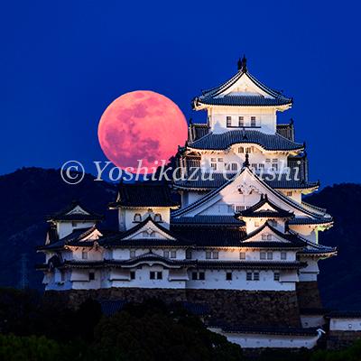 絶景姫路城 世界文化遺産・国宝 大西義和 写真