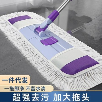 大號拖把干濕兩用家用平板懶人一拖地凈拖地神器拖布兩用塵推
